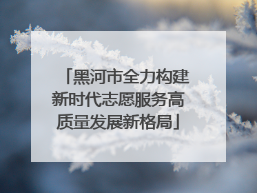 黑河市全力构建新时代志愿服务高质量发展新格局