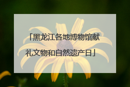 黑龙江各地博物馆献礼文物和自然遗产日