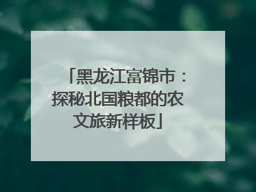 黑龙江富锦市：探秘北国粮都的农文旅新样板