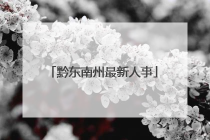 黔东南州最新人事