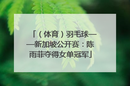 （体育）羽毛球——新加坡公开赛：陈雨菲夺得女单冠军