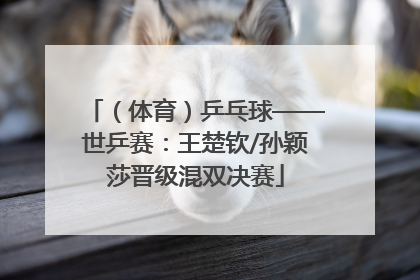 （体育）乒乓球——世乒赛：王楚钦/孙颖莎晋级混双决赛