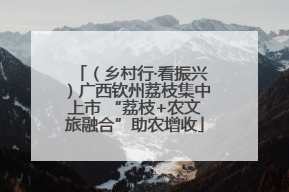 （乡村行·看振兴）广西钦州荔枝集中上市 “荔枝+农文旅融合”助农增收