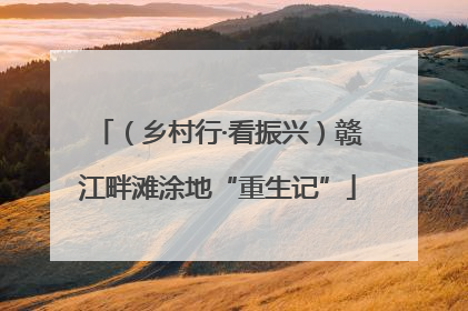 （乡村行·看振兴）赣江畔滩涂地“重生记”