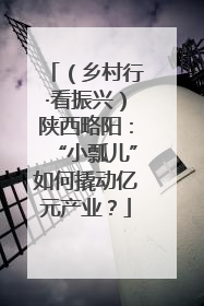 （乡村行·看振兴）陕西略阳：“小瓢儿”如何撬动亿元产业？