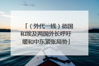 (外代一线)德国和埃及两国外长呼吁缓和中东紧张局势