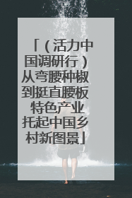 （活力中国调研行）从弯腰种椒到挺直腰板 特色产业托起中国乡村新图景