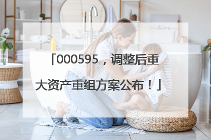 000595，调整后重大资产重组方案公布！