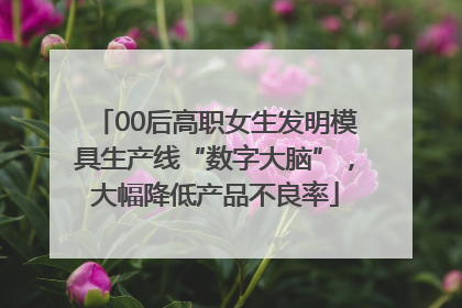 00后高职女生发明模具生产线“数字大脑”，大幅降低产品不良率