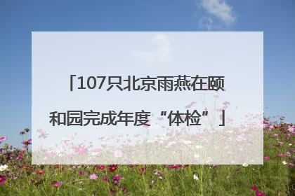 107只北京雨燕在颐和园完成年度“体检”