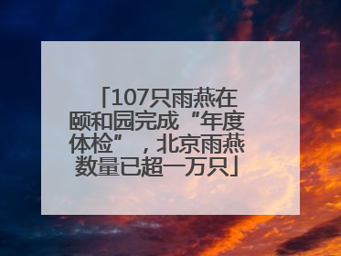 107只雨燕在颐和园完成“年度体检”，北京雨燕数量已超一万只