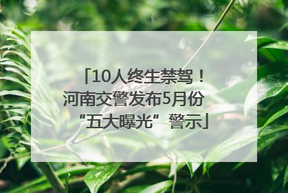 10人终生禁驾！河南交警发布5月份“五大曝光”警示