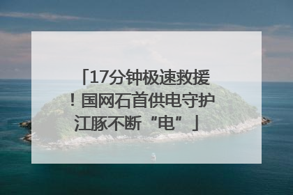 17分钟极速救援！国网石首供电守护江豚不断“电”