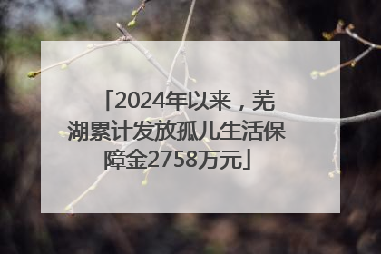 2024年以来，芜湖累计发放孤儿生活保障金2758万元