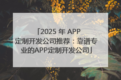 2025 年 APP 定制开发公司推荐：靠谱专业的APP定制开发公司
