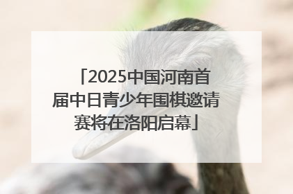 2025中国河南首届中日青少年围棋邀请赛将在洛阳启幕