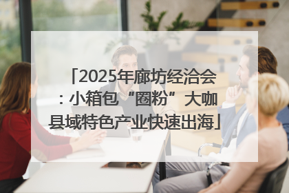 2025年廊坊经洽会：小箱包“圈粉”大咖 县域特色产业快速出海