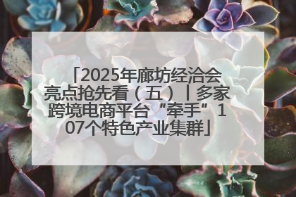 2025年廊坊经洽会亮点抢先看（五）丨多家跨境电商平台“牵手”107个特色产业集群