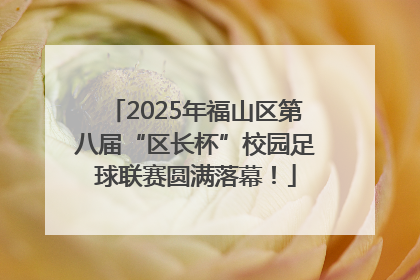2025年福山区第八届“区长杯”校园足球联赛圆满落幕！