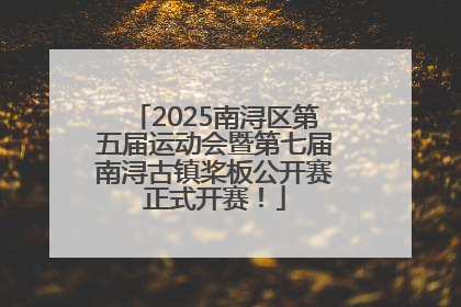 2025南浔区第五届运动会暨第七届南浔古镇桨板公开赛正式开赛！