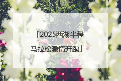 2025西湖半程马拉松激情开跑