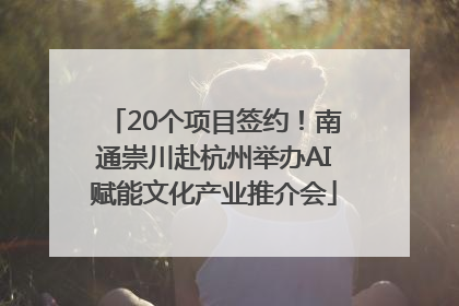 20个项目签约！南通崇川赴杭州举办AI赋能文化产业推介会