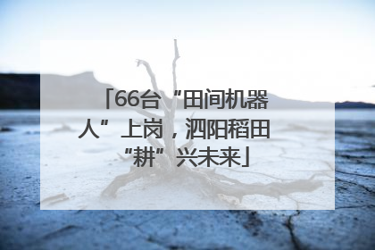 66台“田间机器人”上岗，泗阳稻田“耕”兴未来