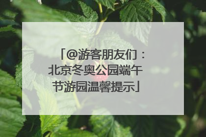 @游客朋友们：北京冬奥公园端午节游园温馨提示