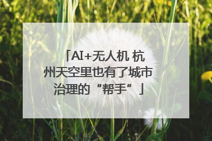 AI+无人机 杭州天空里也有了城市治理的“帮手”