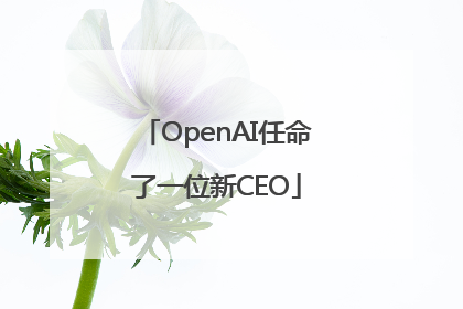 OpenAI任命了一位新CEO