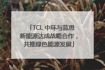 TCL 中环与蓝思新能源达成战略合作，共推绿色能源发展